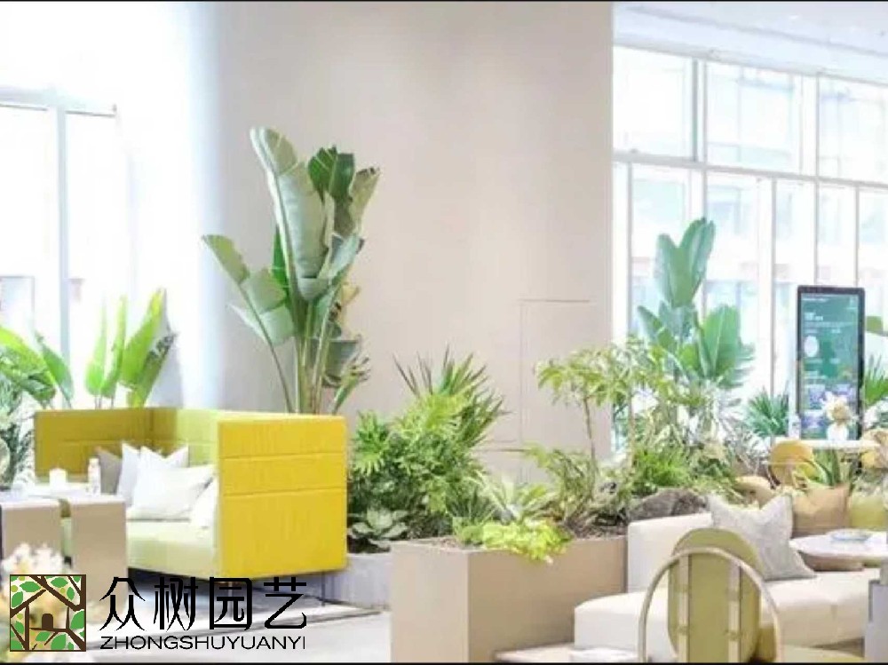 綠動(dòng)蘇州，專業(yè)綠植租賃養(yǎng)護(hù)新風(fēng)尚