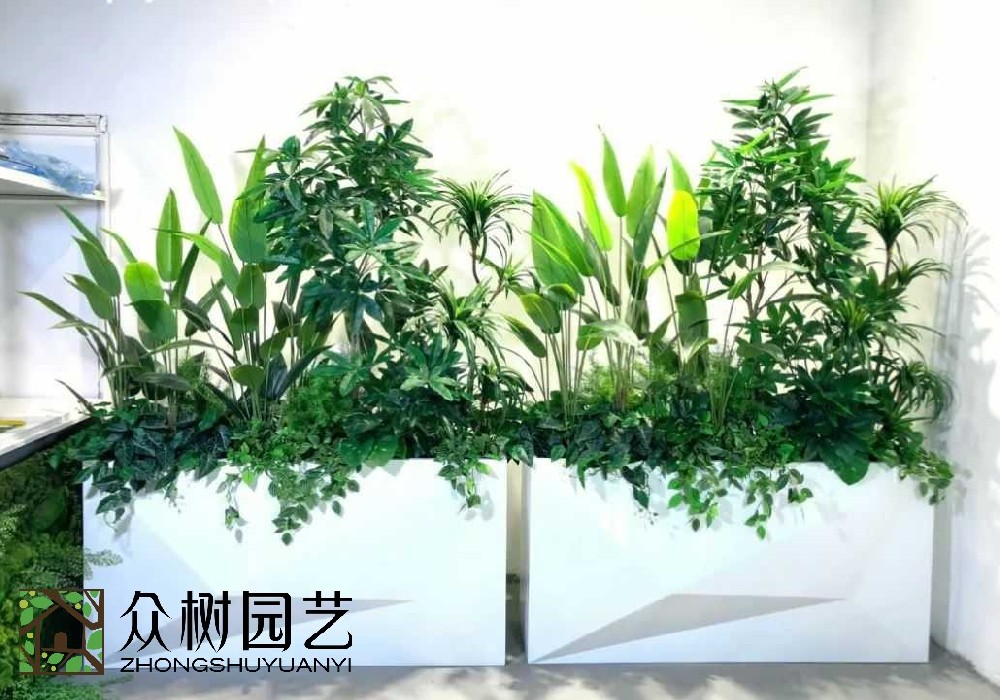 震撼發現！蘇州綠植租賃：為城市空間注入綠色活力