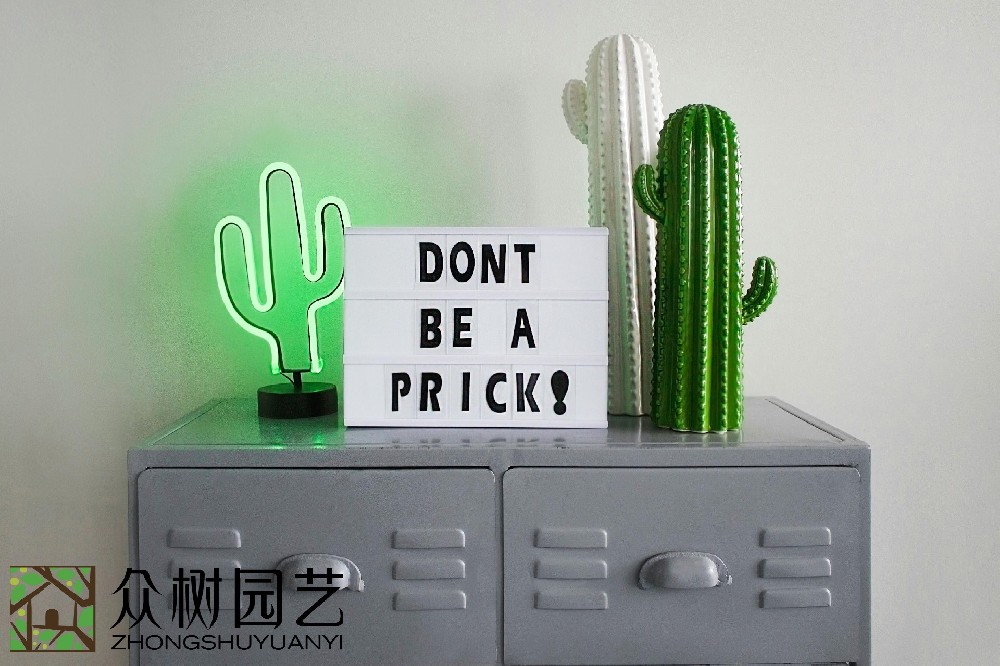 蘇州辦公室綠植租擺費(fèi)用詳解：挑選最優(yōu)質(zhì)、最劃算的環(huán)境美化方案