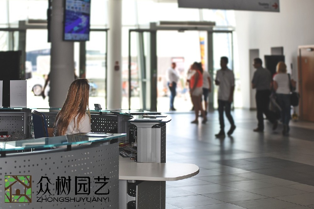 蘇州學校綠植租擺企業：打造環保校園的綠色植物解決方案