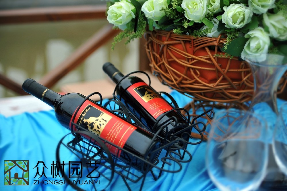 蘇州室外綠植租擺廠家：提升你的空間品質的卓越選擇