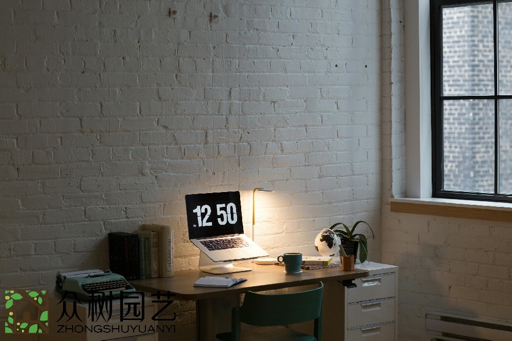 蘇州室內(nèi)綠植租擺企業(yè)：您的綠色工作環(huán)境構(gòu)筑專家